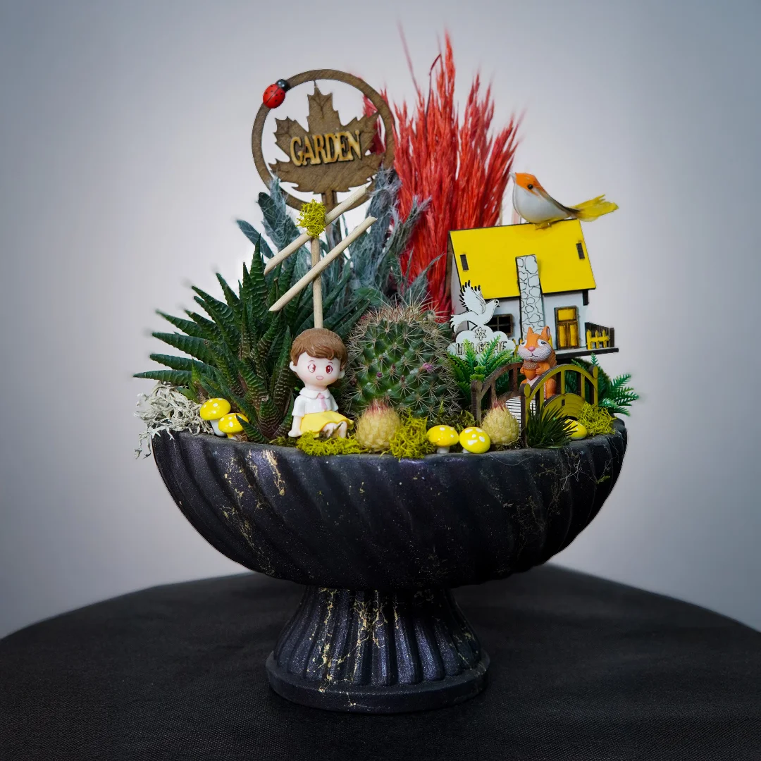 Kaktüs ve Skulent Teraryum - Alanya Çiçek Siparişi