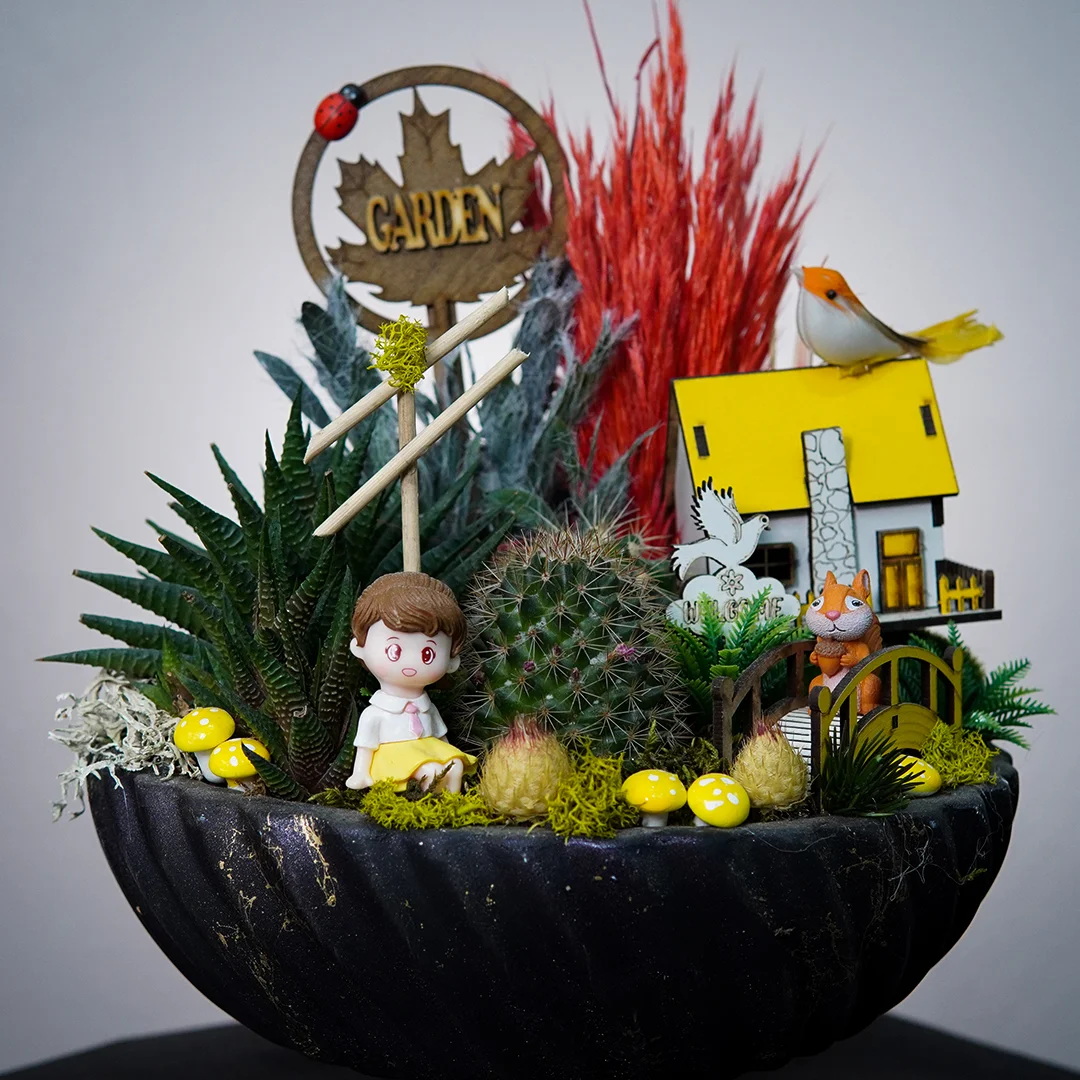 Kaktüs ve Skulent Teraryum - Alanya Çiçek Siparişi