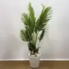 Yapay Areca Palmiye