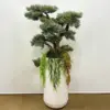 Yapay Büyük Bonzai Beyaz Uzun Saksı